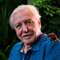 Photo of Sir David Attenborough with exotic beetle on shoulder